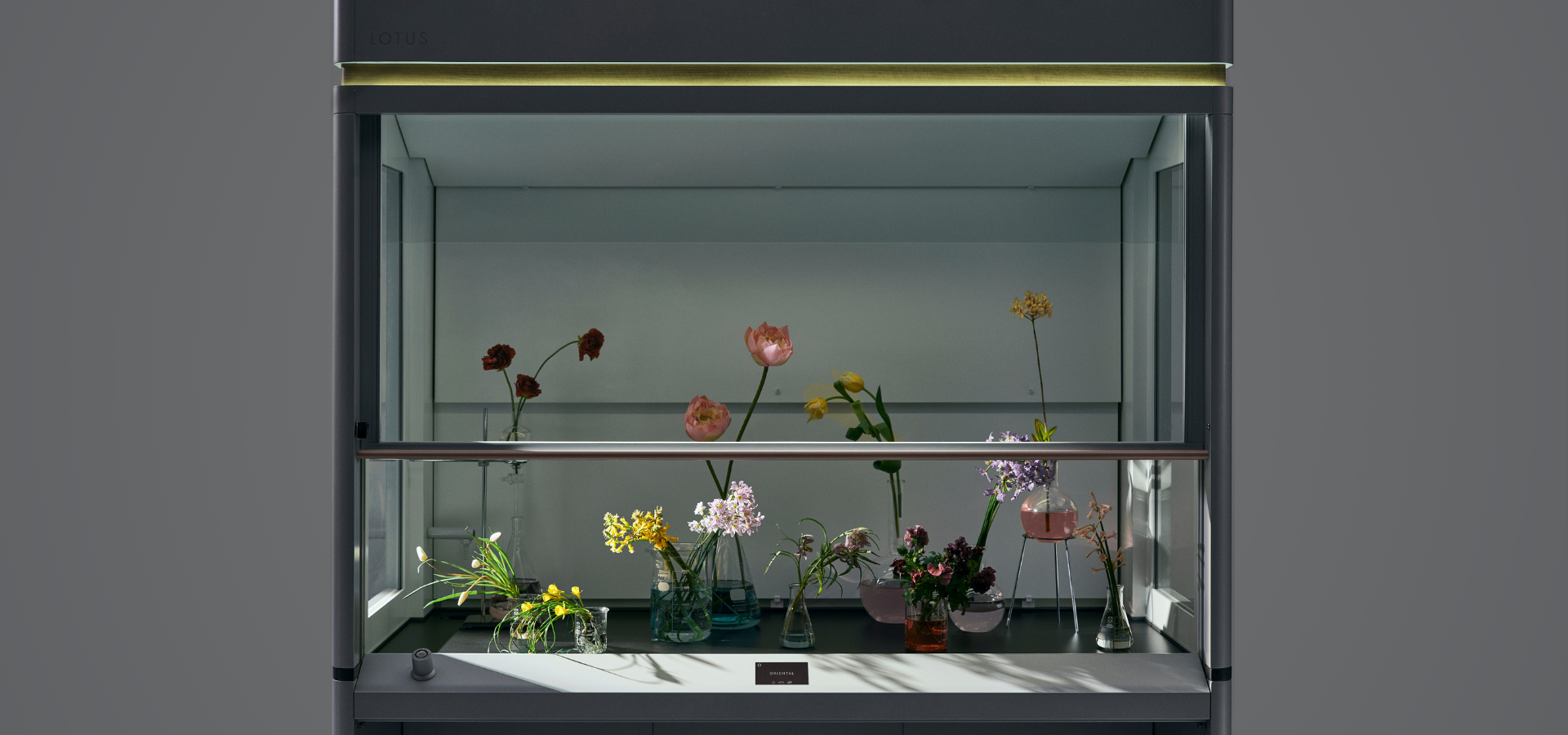 LOTUS Series Fume Hood