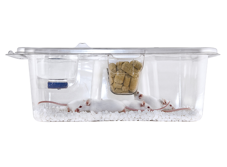 イノケージ PET樹脂製ディスポーザブルケージ