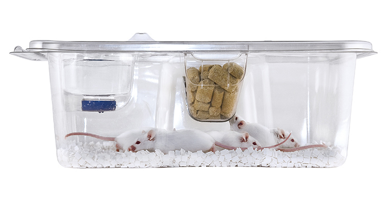 イノケージ マウス用