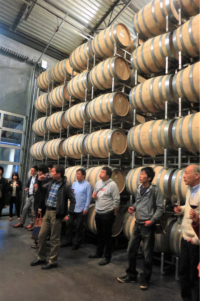 ナパバレー  ワイナリーツアー